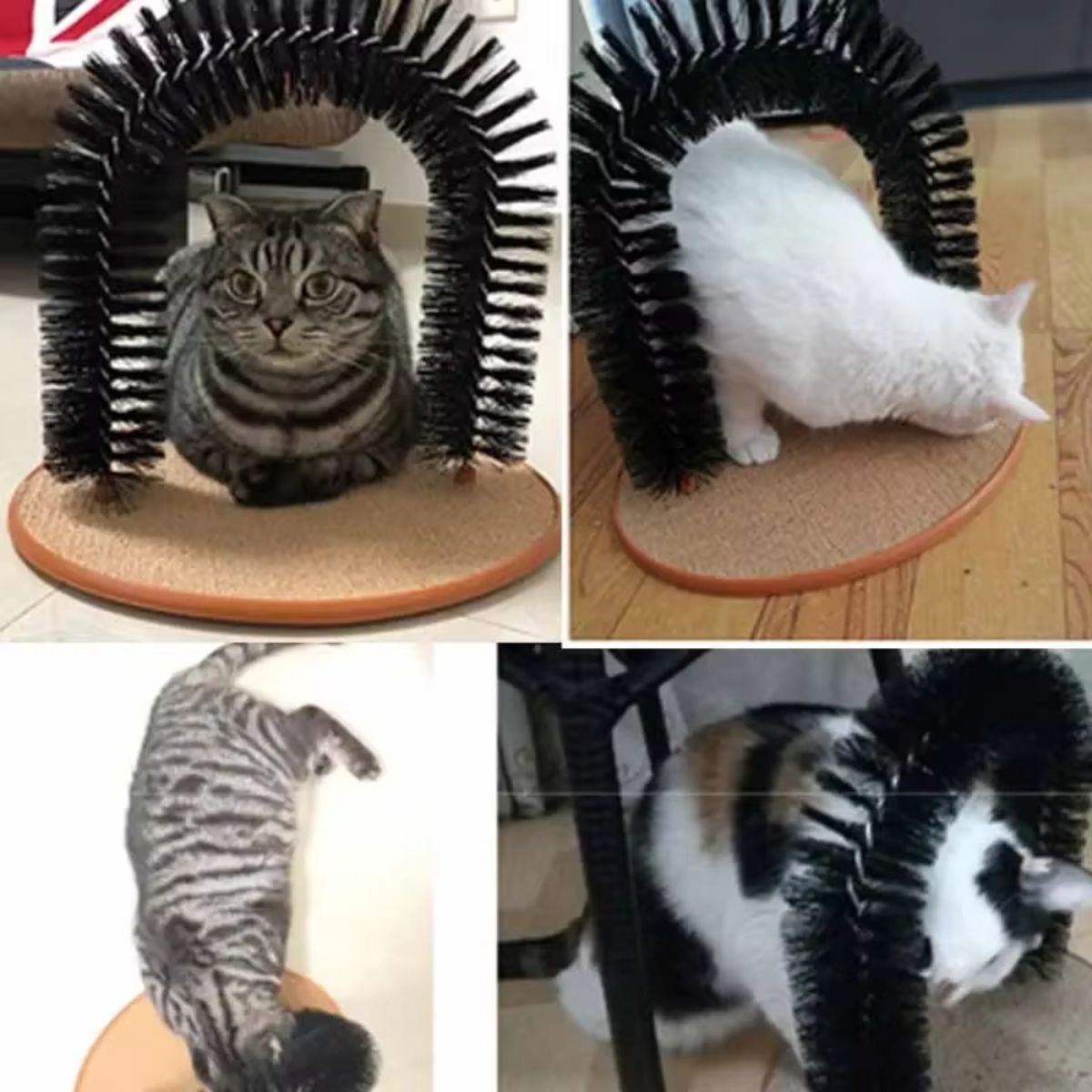 Self-Grooming Cat Arch with Scratching Pad